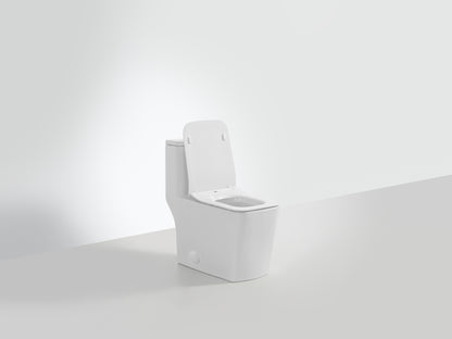 Toilette monobloc à double chasse avec siège carré