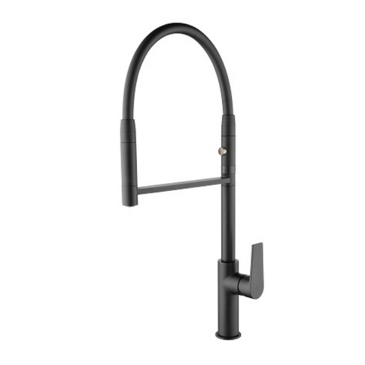 Single Handle Pull-Out Kitchen Faucet with 2 Spouts