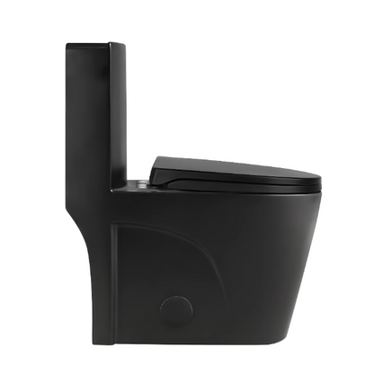 Matte Black One-piece Dual-Flush Toilet