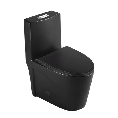 Matte Black One-piece Dual-Flush Toilet