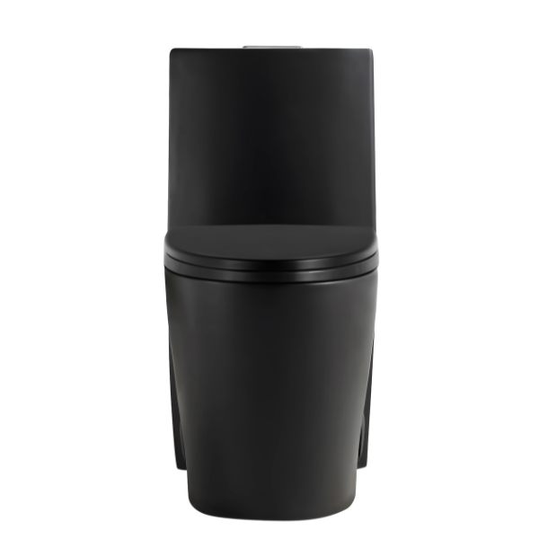 Matte Black One-piece Dual-Flush Toilet