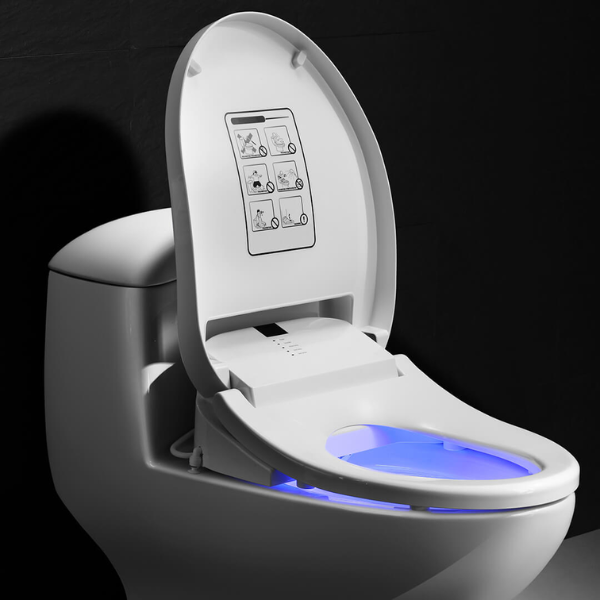 Siège de Bidet