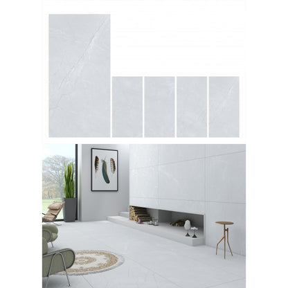 Canet light gray ceramic tiles 24" x 48"