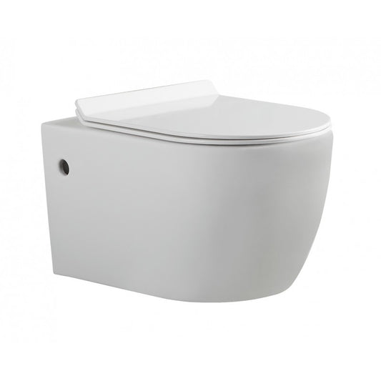Kelly Wall Mount Toilet and Tank Set