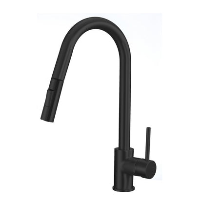 Kidall, matte black kitchen faucet 