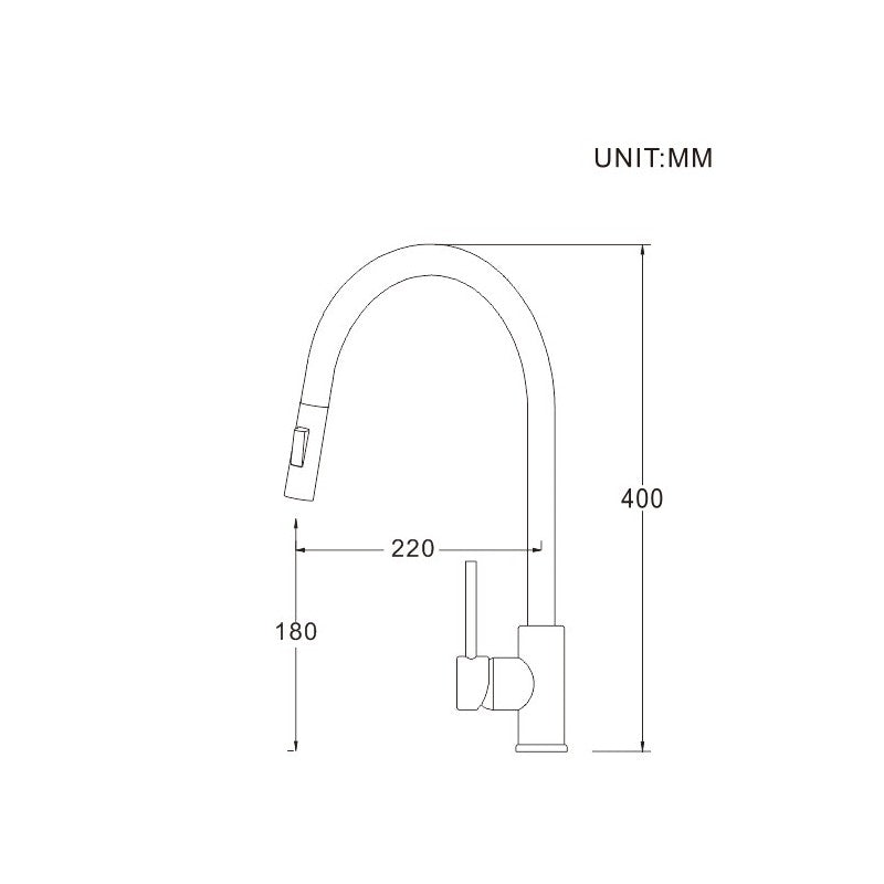 Kidall, matte black kitchen faucet 