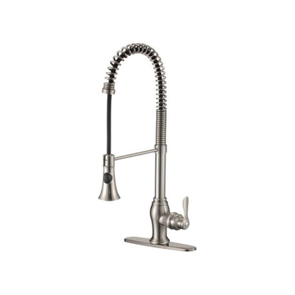 Odall, brushed nickel kitchen faucet