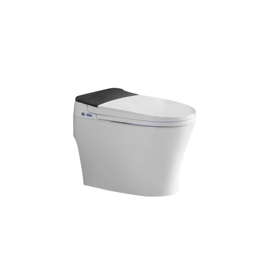 Vasio, Smart one-piece toilet
