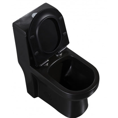 Black one-piece toilet