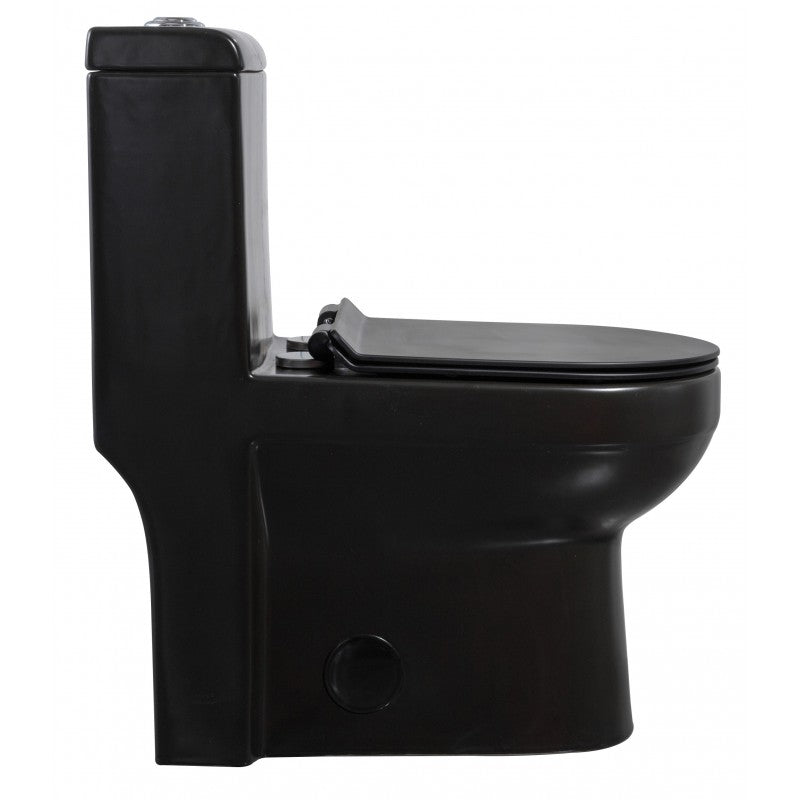 Black one-piece toilet